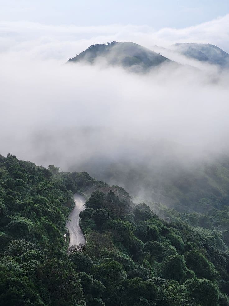 02 Nights & 03 Days Chikkamagaluru Tour Package from Mysore